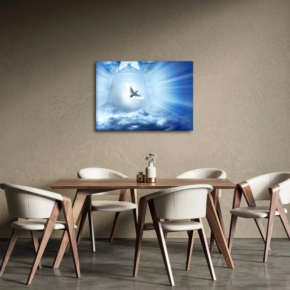 Obraz - Božia holubica (70x50 cm)