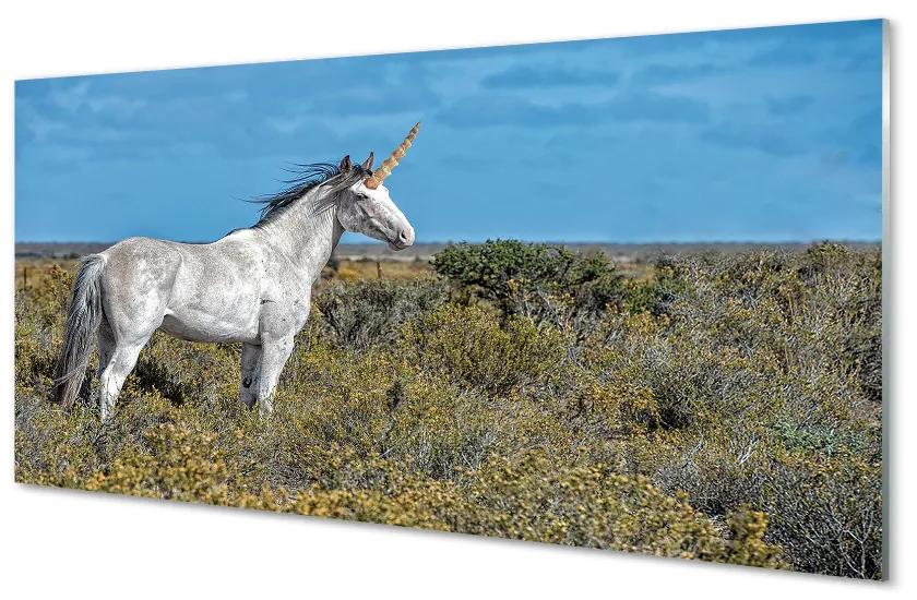 Obraz na akrylátovom skle Unicorn golf 100x50 cm