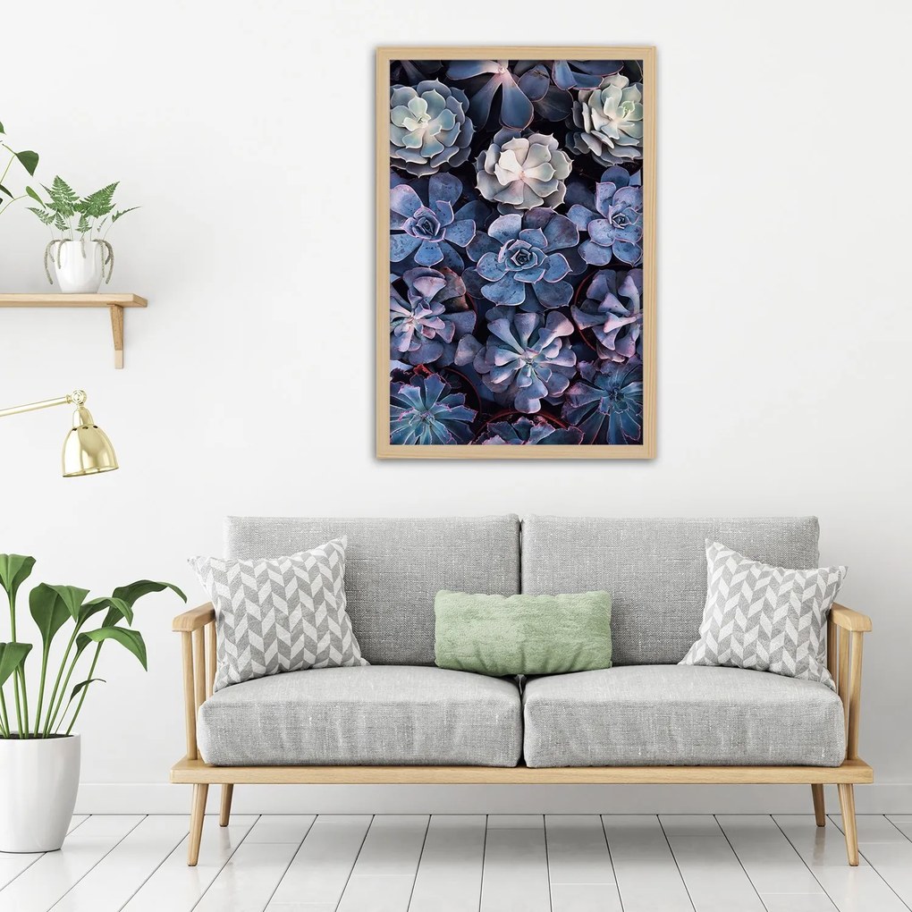 Gario Plagát Zbierka sukulentov Farba rámu: Bez rámu, Rozmery: 30 x 45 cm
