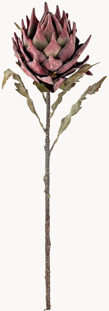 Rastlinná dekorácia Protea