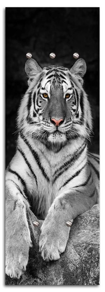 Gario Vešiak na stenu Tiger Rozmery: 30 x 90 cm