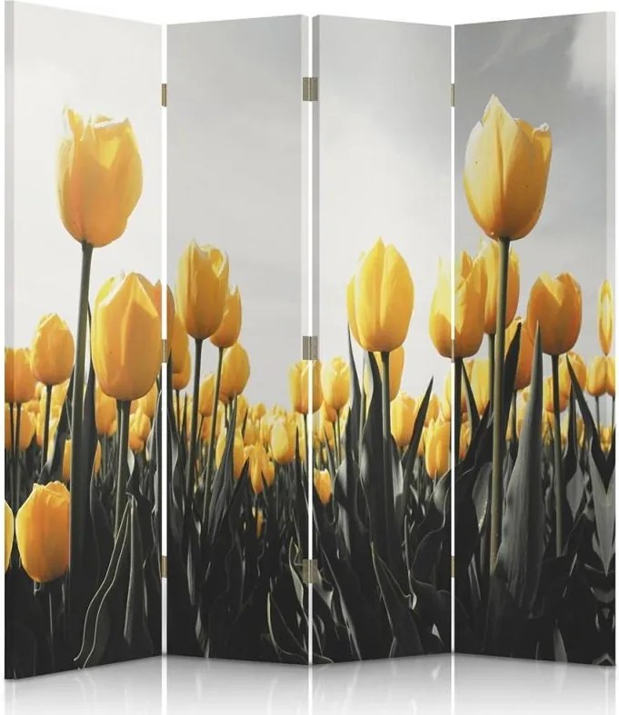 CARO Paraván - Yellow Tulips | štvordielny | obojstranný 145x150 cm