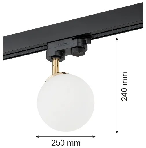 Argon 4307 - Bodové svietidlo do lištového systému BANG 1xG9/6W/230V mosadz