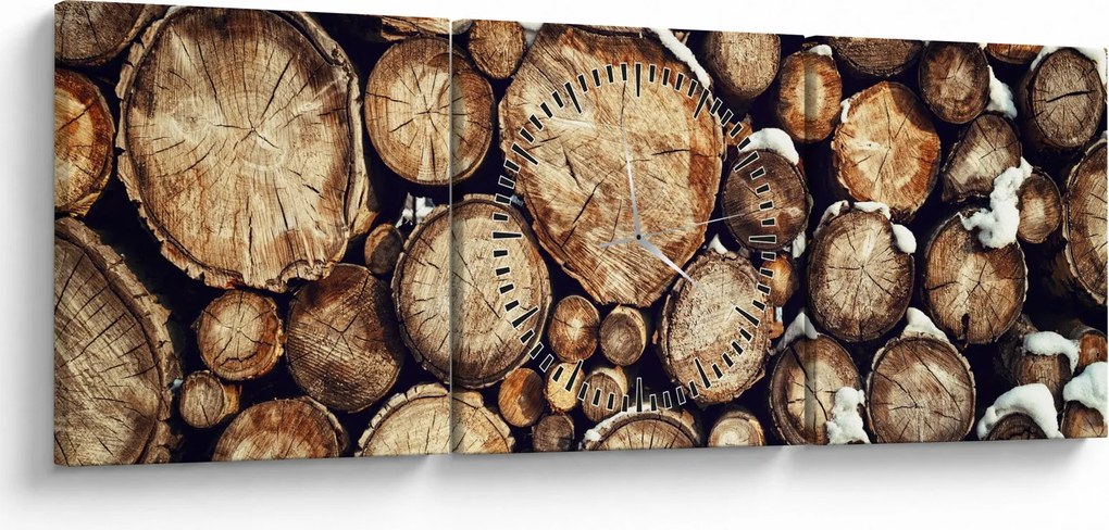Obraz - Drevo v snehu (s hodinami) (90x30 cm)