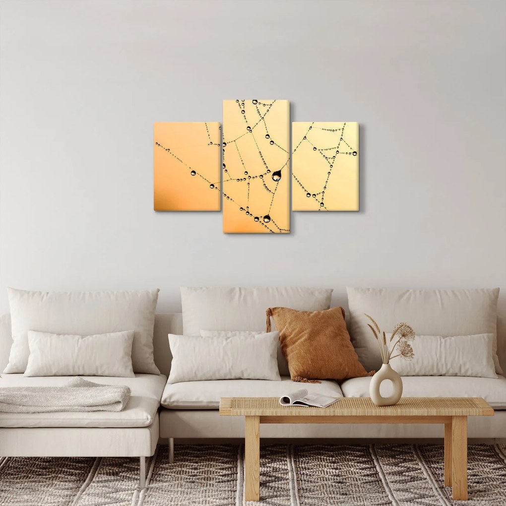 Obraz orosenej pavučiny (90x60 cm)