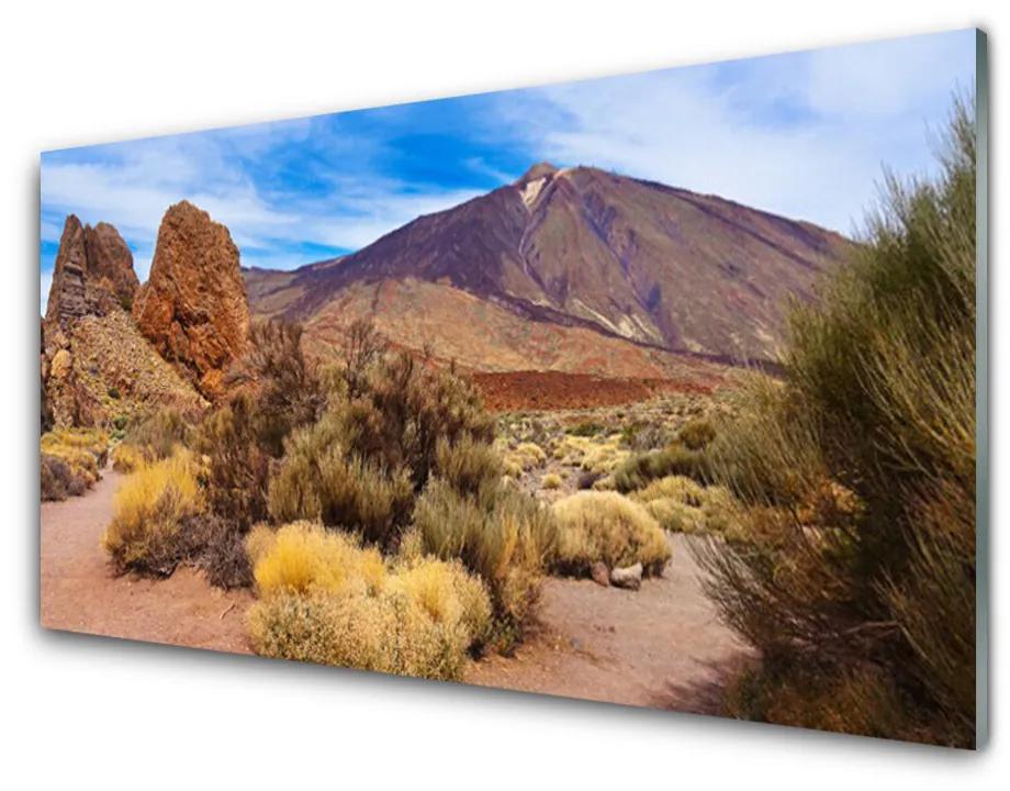 Obraz plexi Hory rastliny skaly krajina 120x60 cm