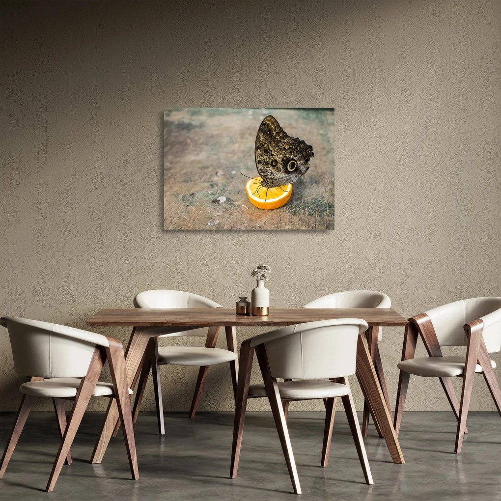 Sklenený obraz motýľa (70x50 cm)
