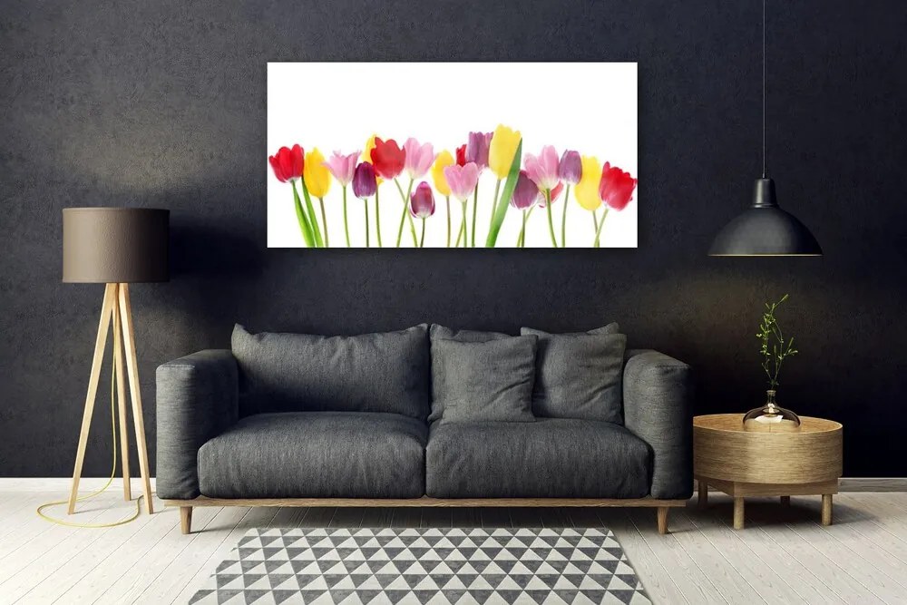 Obraz na akrylátovom skle Tulipány kvety rastlina 120x60 cm