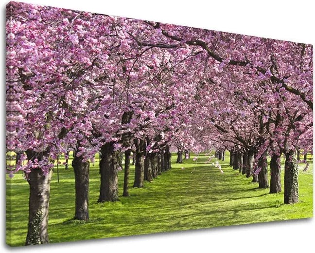 Obraz na stenu STROMY