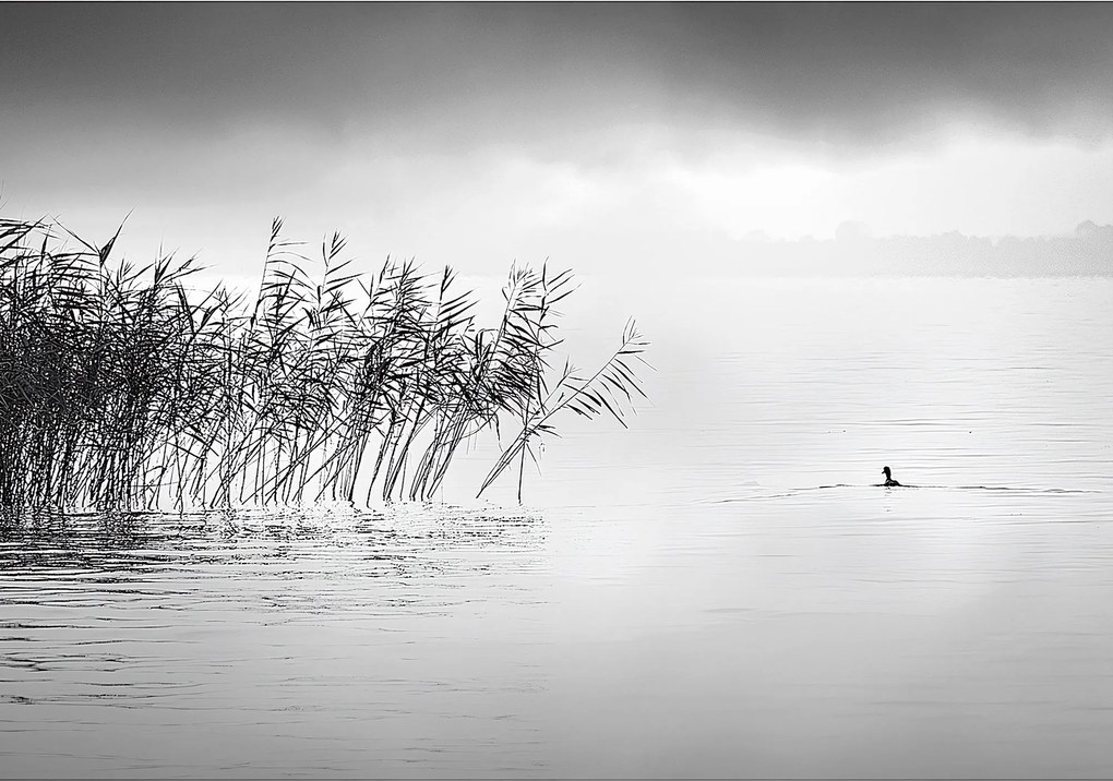 Plátno maľba By the Lake II