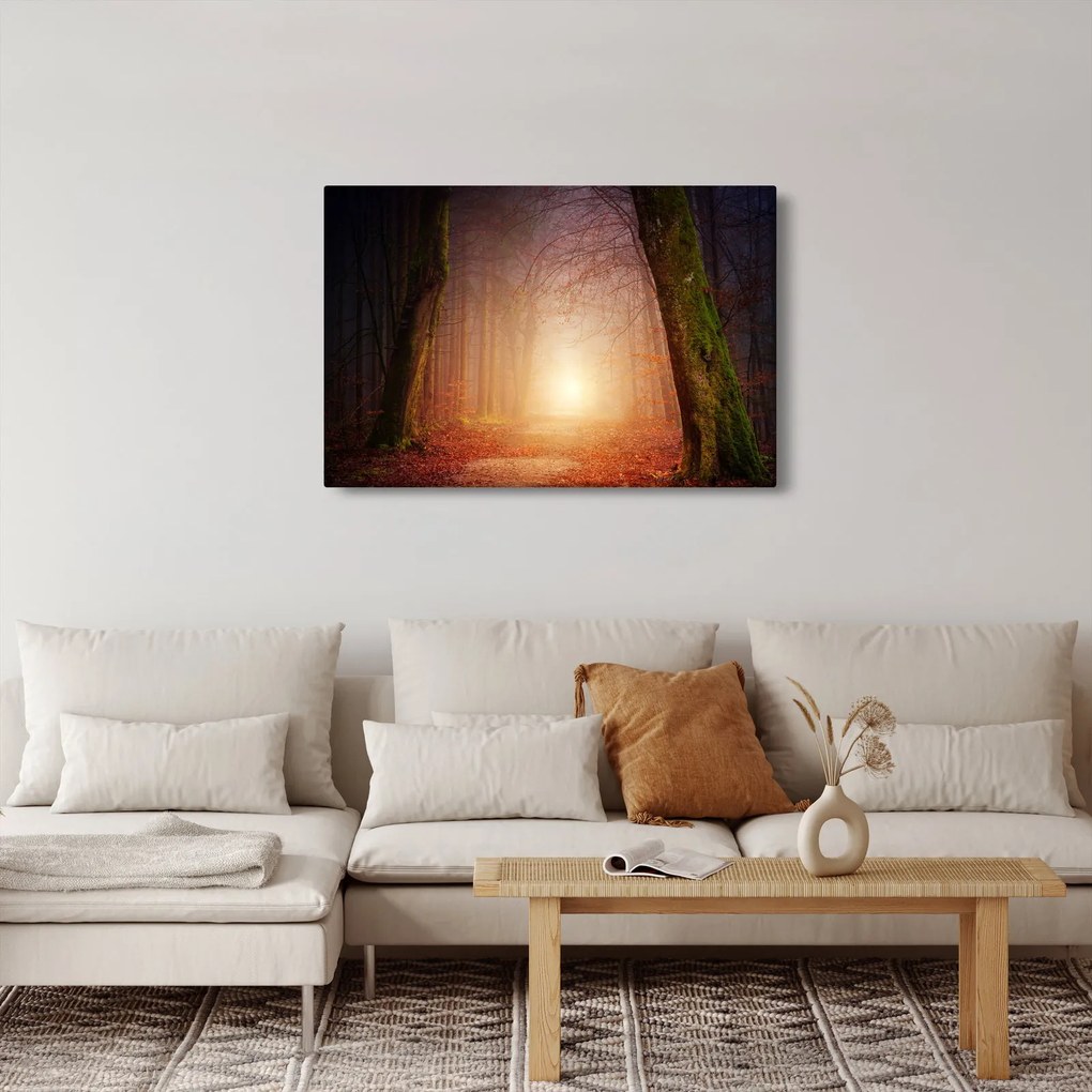 Obraz jesenného lesa v hmle (90x60 cm)