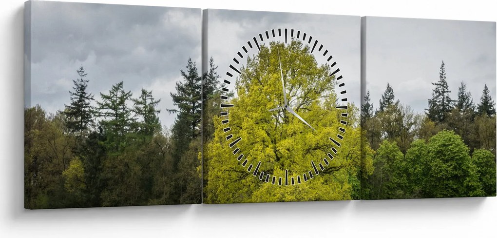 Obraz zeleného stromu uprostred poľa (s hodinami) (90x30 cm)