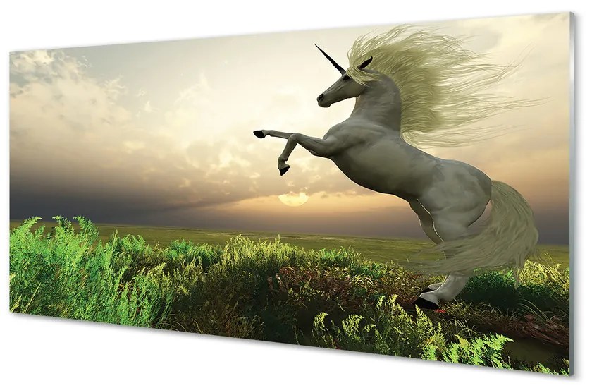 Obraz na akrylátovom skle Unicorn golf 125x50 cm