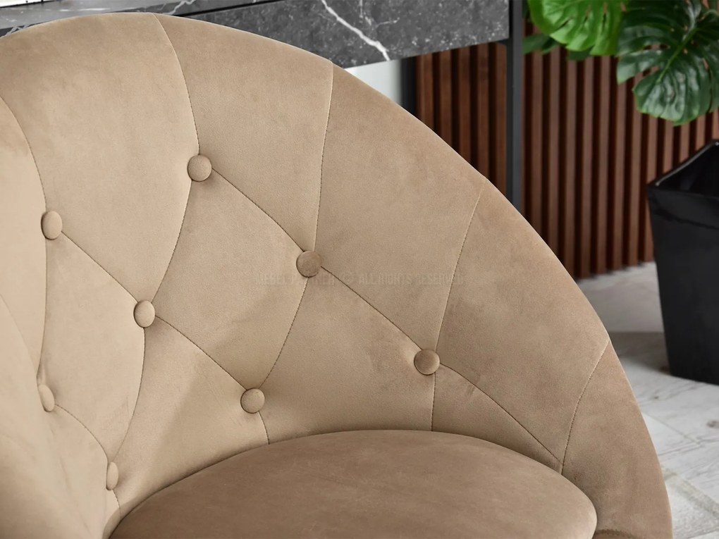 Kreslo Lush 4 (béžová + čierna). Akcia -21%. Vlastná spoľahlivá doprava až k Vám domov. 1110273