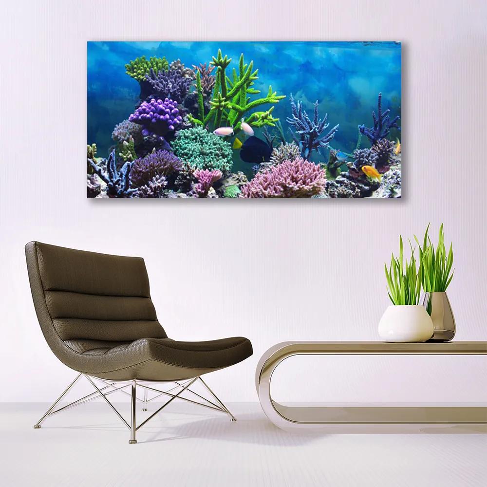 Obraz plexi Akvárium rybičky pod vodou 120x60 cm