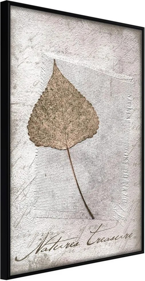 Plagát usušený list - Dried Leaf