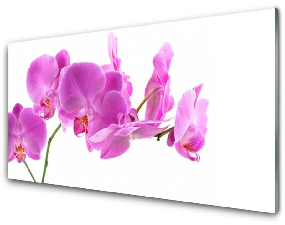 Obraz na akrylátovom skle Kvety rastlina príroda 100x50cm