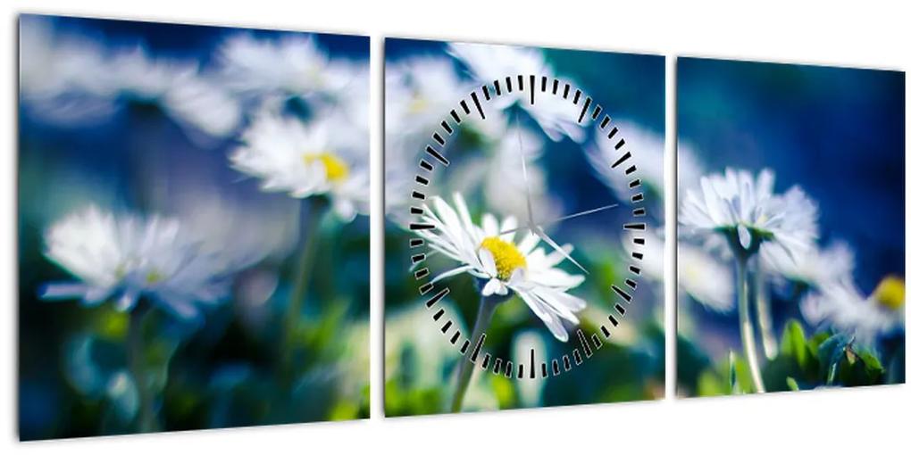 Obraz sedmokrások (s hodinami) (90x30 cm)