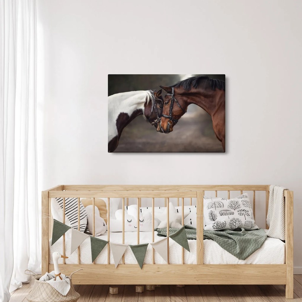Obraz - Zamilované kone (90x60 cm)