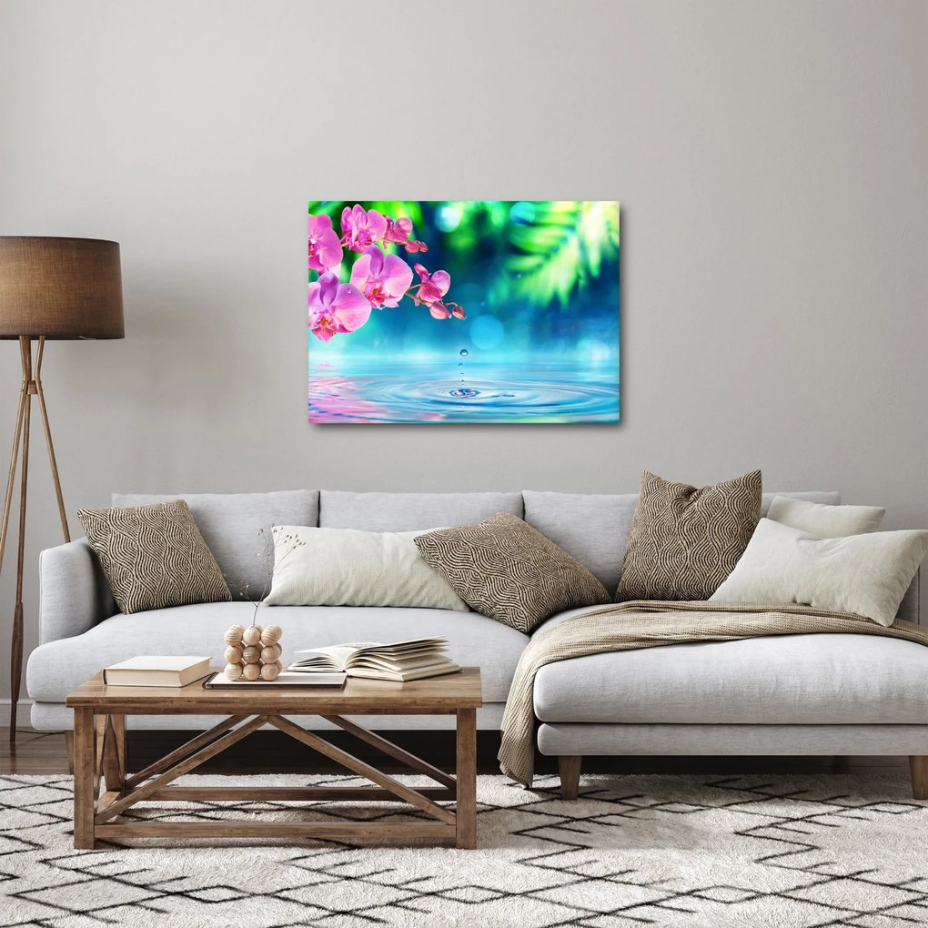 Obraz - Orchidea (70x50 cm)