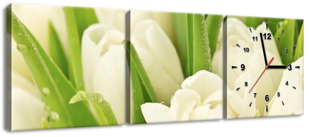 Gario Obraz s hodinami Jemné tulipány - 3 dielny Rozmery: 80 x 40 cm