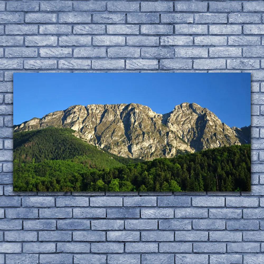 Obraz na akrylátovom skle Hora les príroda 120x60 cm