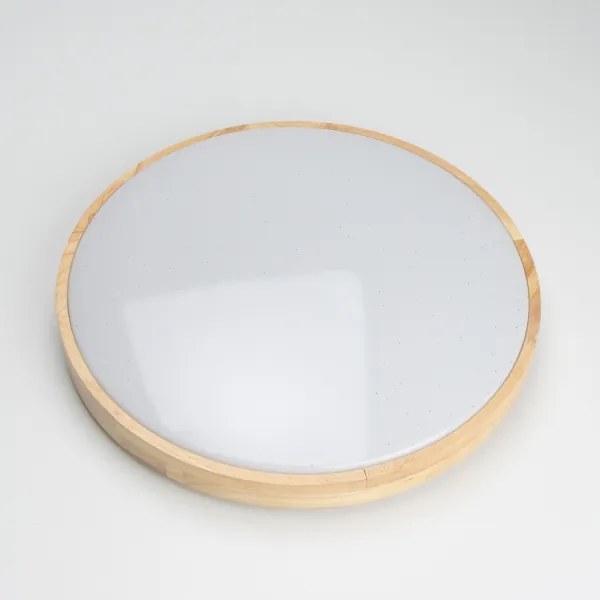 Brilagi - LED stlmiteľné stropné svietidlo PINE LED/24W/230V + diaľkové ovládanie