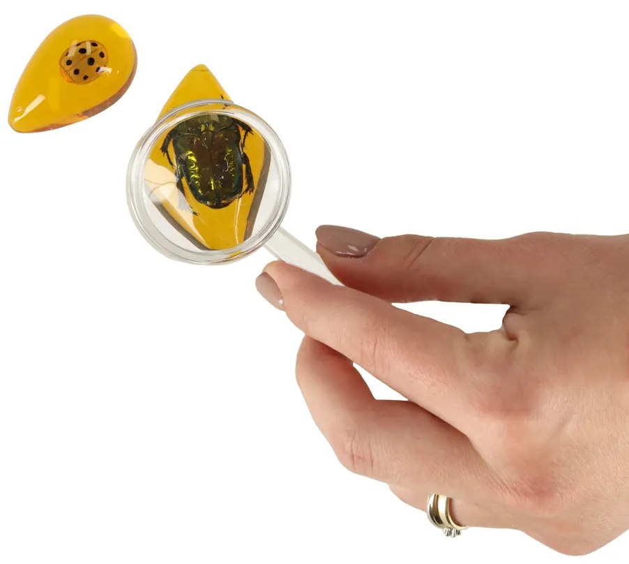 KIK Vzdelávacia súprava pre deti - Archeologické vykopávky: Hmyz v jantári 6+