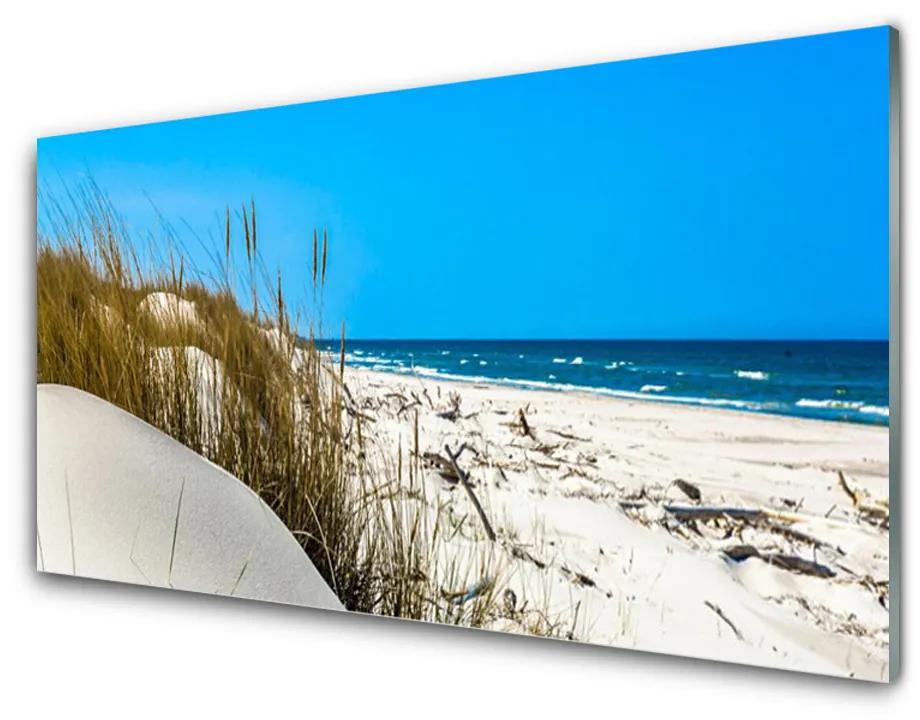 Nástenný panel  Pláž príroda 125x50cm