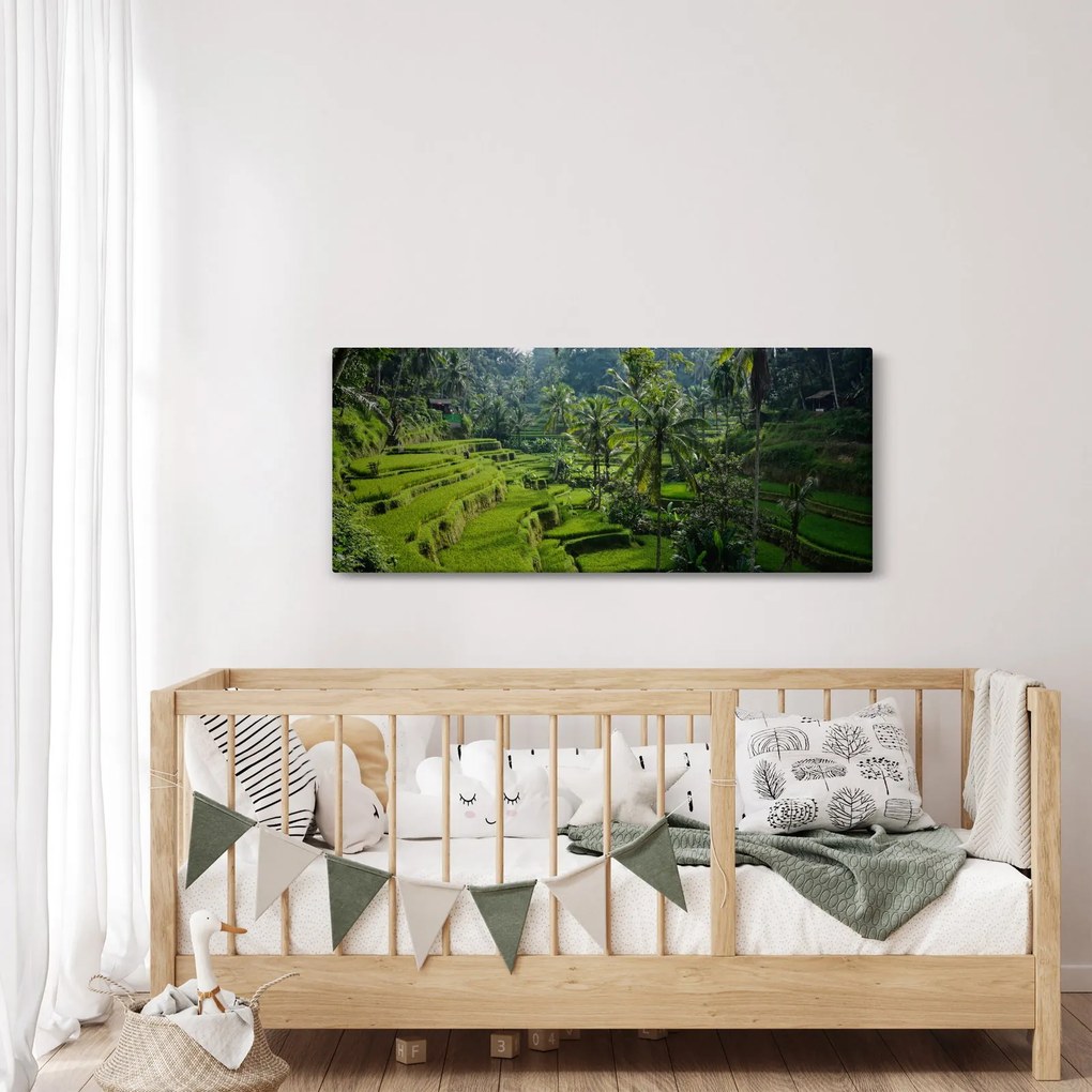 Obraz ryžových terás Tegalalang, Bali (120x50 cm)