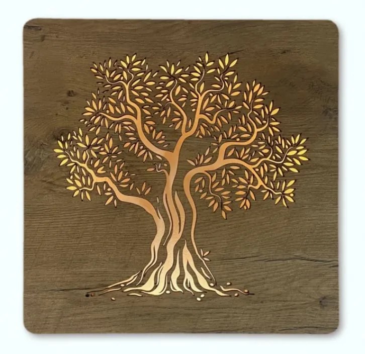 Obraz na stenu strom Olivovník