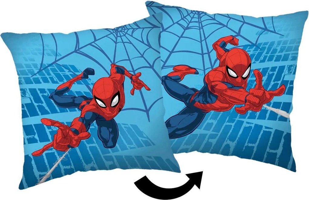 XXXLutz DEKORAČNÝ VANKÚŠ 40/40 cm - Textil do domácnosti - 003580054901