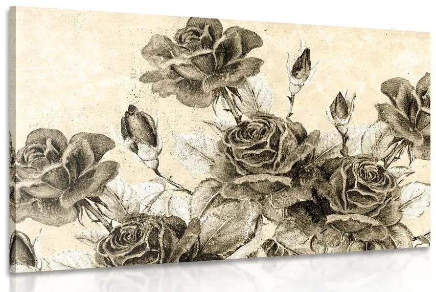 Obraz vintage kytica ruží v sépiovom prevedení Varianta: 90x60