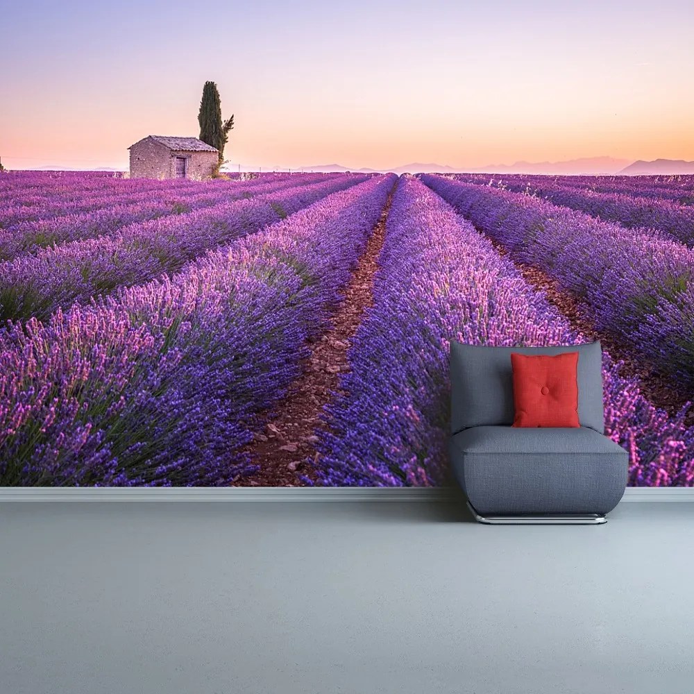 Fototapeta Vliesová Provence levandule 152x104 cm