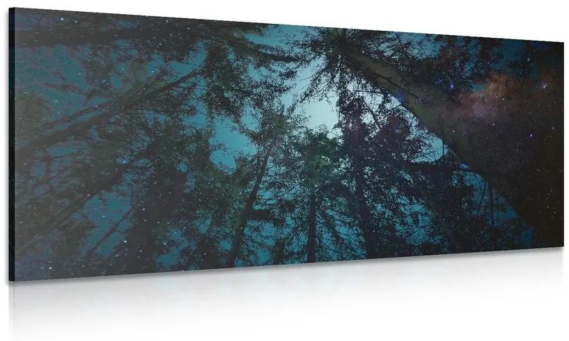Obraz les pod nočnou oblohou Varianta: 120x60
