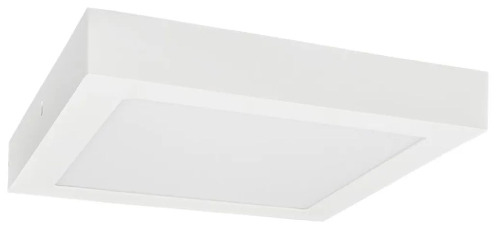 Greenlux LED Stropné svietidlo FENIX LED/18W/230V 3800K 22,5 cm snehovo biela GXDW392