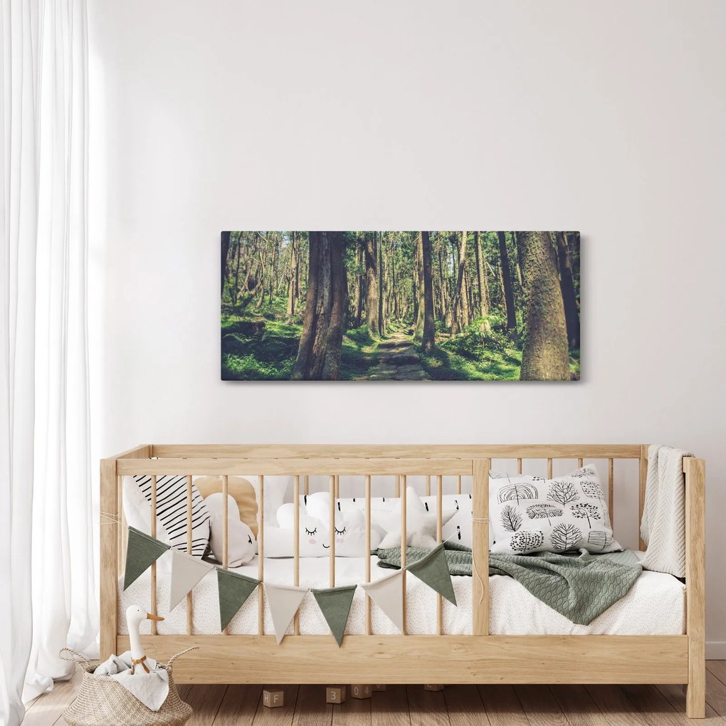 Obraz cesty medzi stromami (120x50 cm)