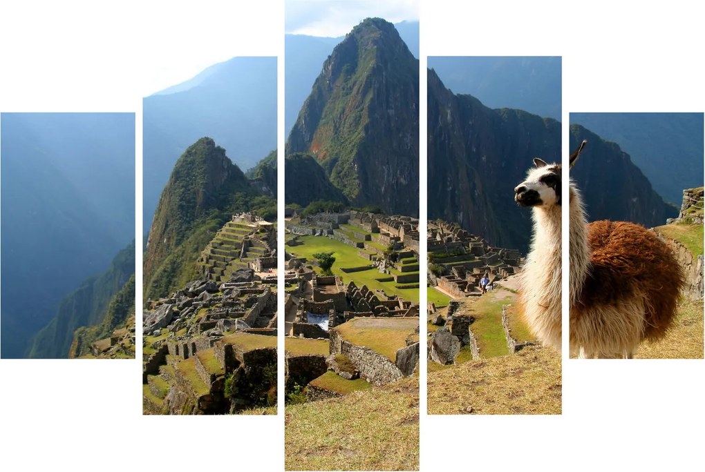 Obrázok - Lama a Machu Picchu (150x105 cm)