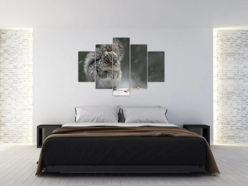 Obraz - Veverička v zime (150x105 cm)