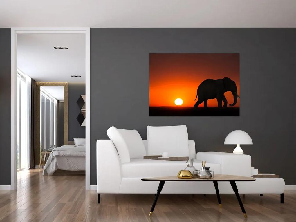 Obraz slona v zapadajúcom slnku