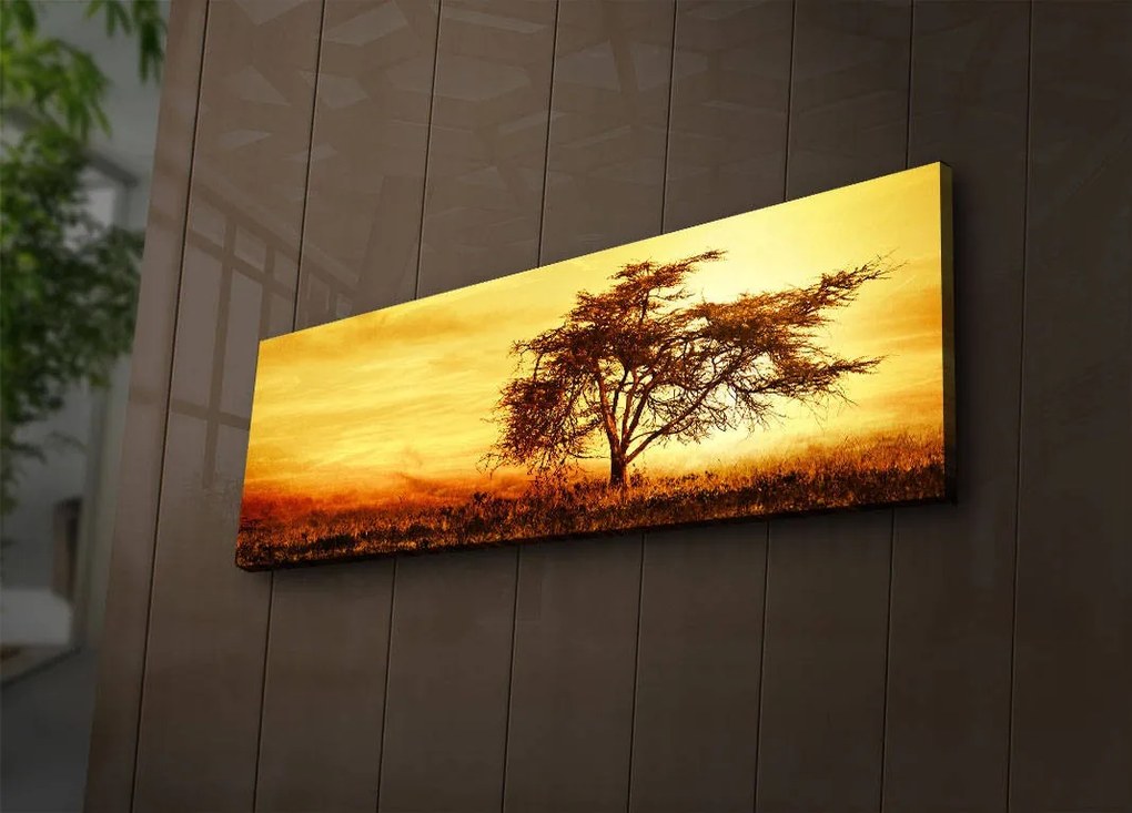 Obraz s LED osvetlením STROM V ZÁPADE SLNKA 27 30 x 90 cm