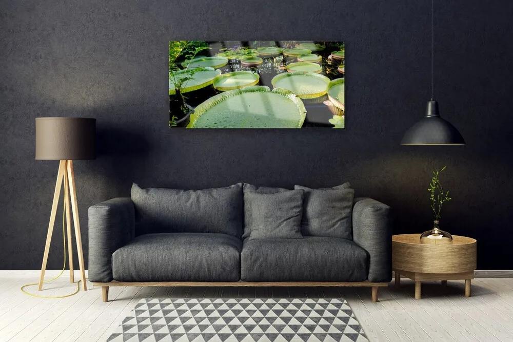 Skleneny obraz Listy jazero príroda 120x60 cm
