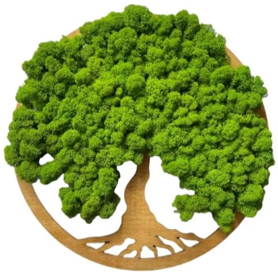 Strom na stenu z machu Ninfa 40 cm