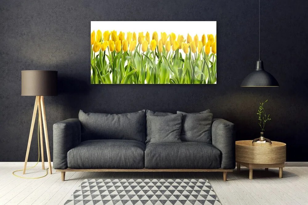 Obraz plexi Tulipány kvety príroda 120x60 cm