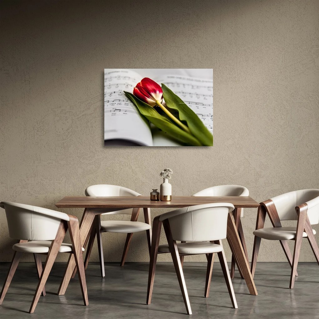 Sklenený obraz červeného tulipánu (70x50 cm)