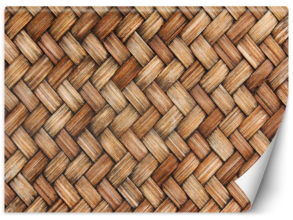 Gario Fototapeta Pletené prútie Materiál: Vliesová, Rozmery: 100 x 70 cm