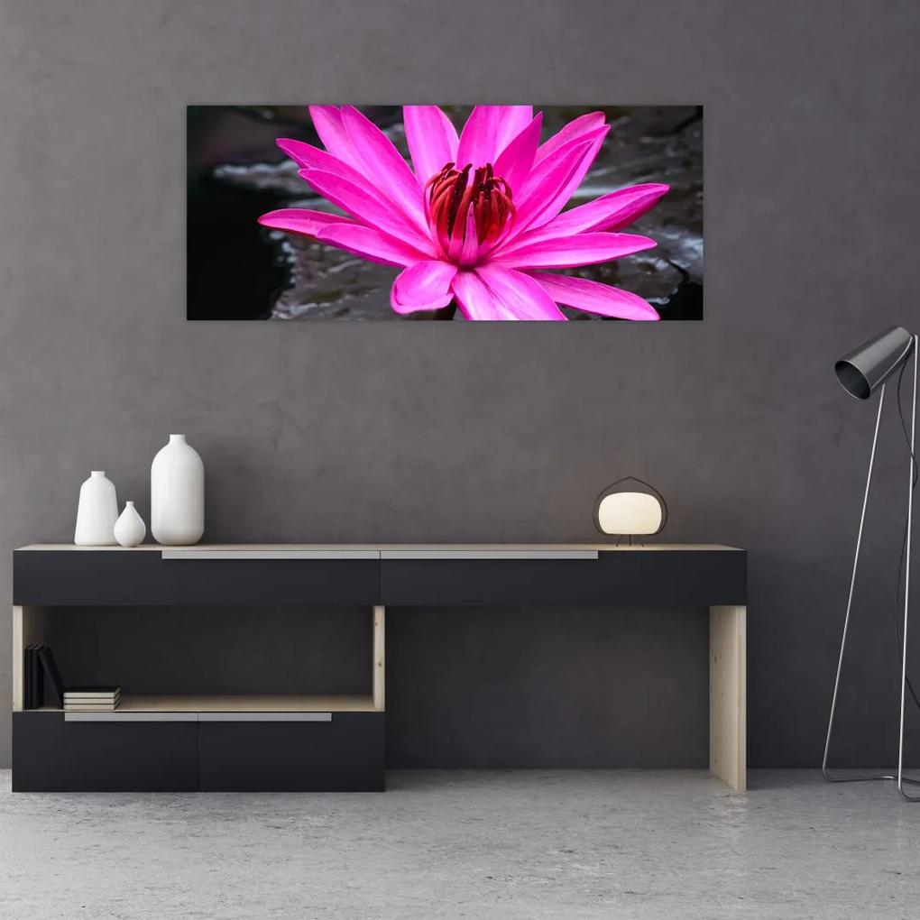 Obraz - ružový kvet (120x50 cm)