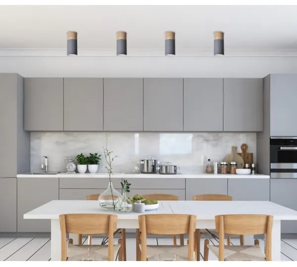 Stropné svietidlo TUBA GU10/15W/230V