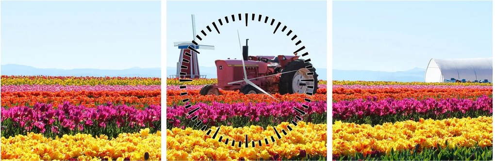 Obraz tulipánové farmy (s hodinami) (90x30 cm)