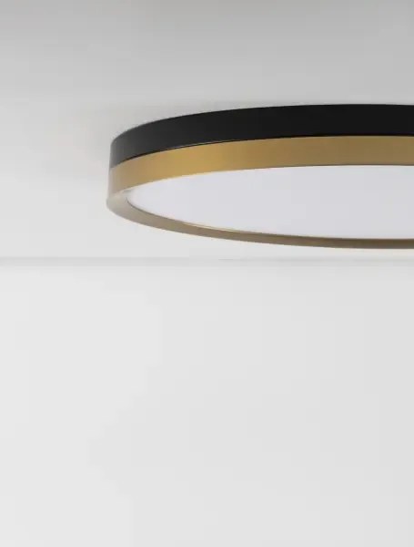 LED stropné svietidlo Cantria 50
